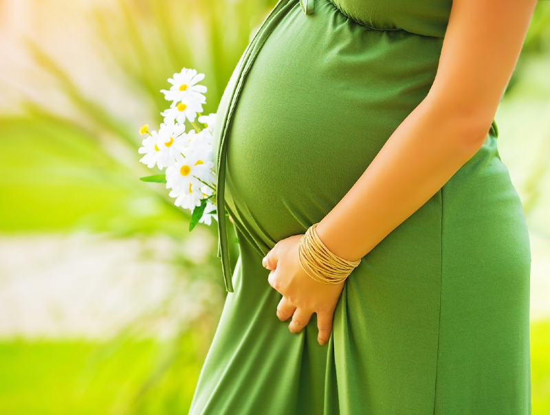 جنین در سه ماهه دوم دوران بارداری