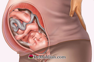 جنین در سه ماهه سوم دوران بارداری